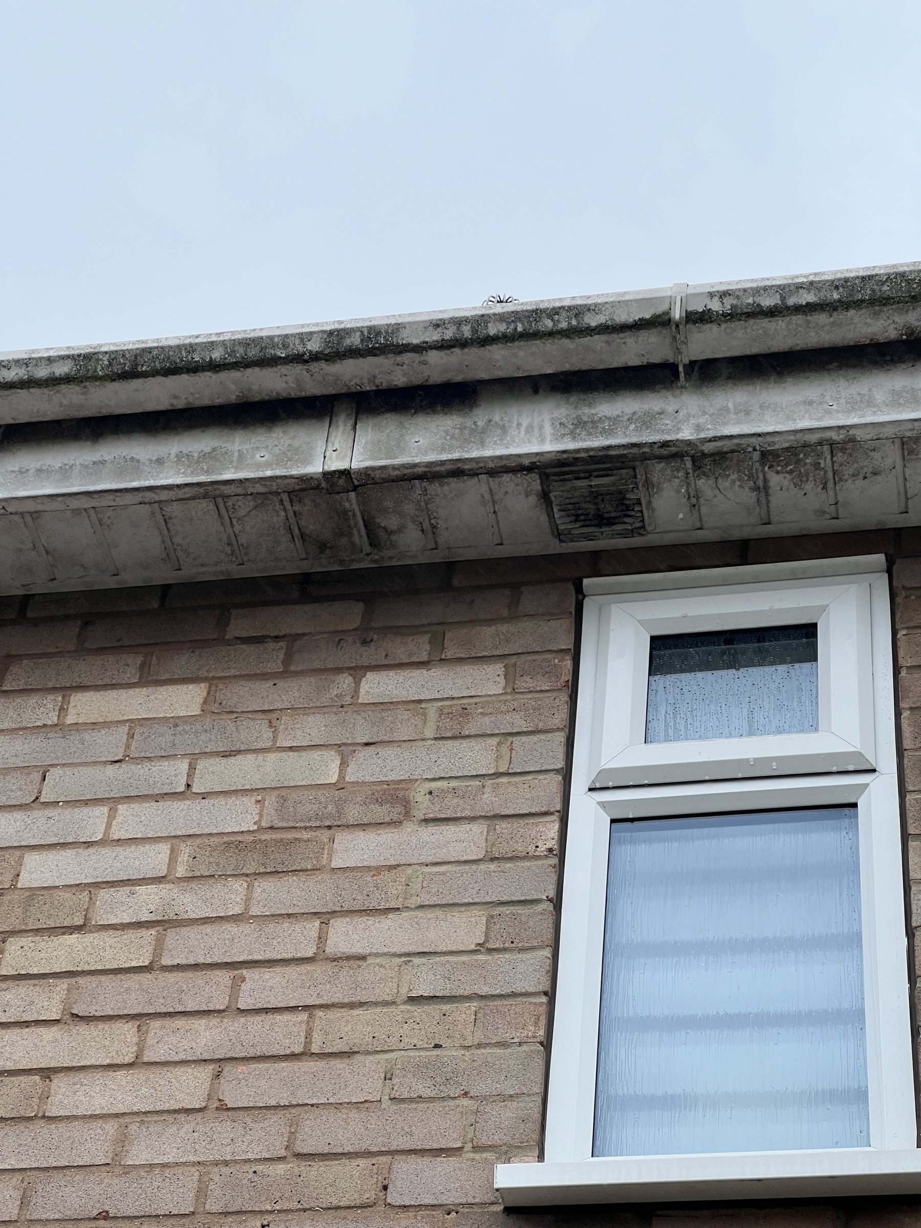 Fascia/Soffits before