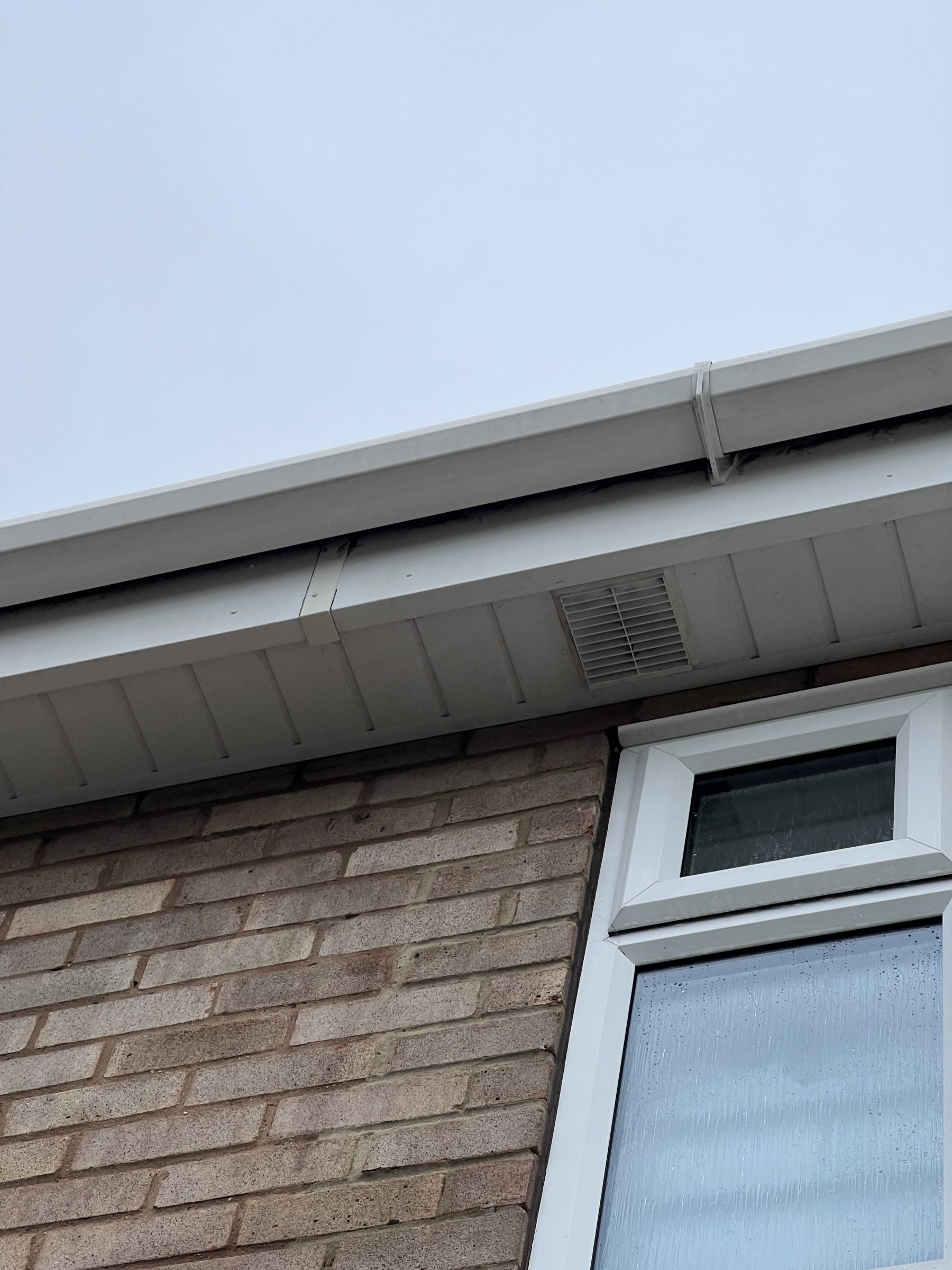 Fascia/Soffits after